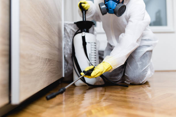 Best Pest Control Near Me  in West Dennis, MA
